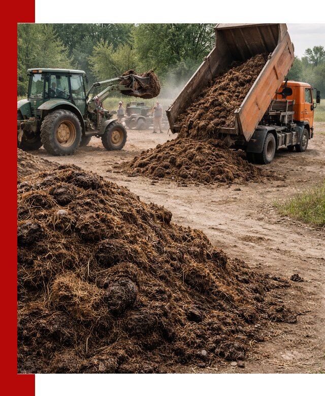Доставка навоза самосвалами в Рыбинске для сельхозпотребностей